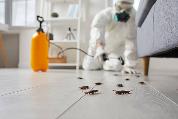 Commercial Kitchen Cockroach Control in Bensville